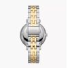 _ab__is.text.p